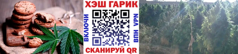 Cannafood марихуана  где найти   Починок 