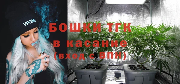 стафф Надым