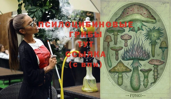 индика Наволоки