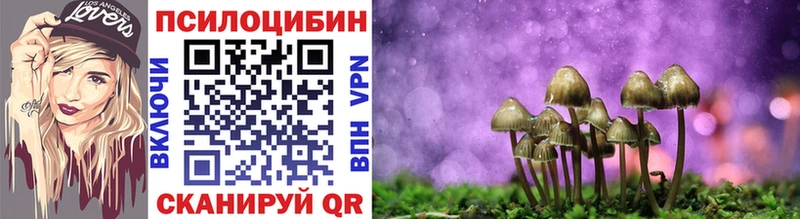 Галлюциногенные грибы Psilocybe  закладка  мега маркетплейс  Починок 